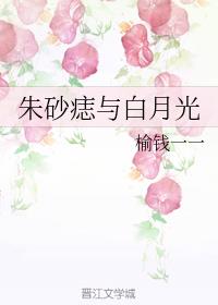朱砂痣与白月光